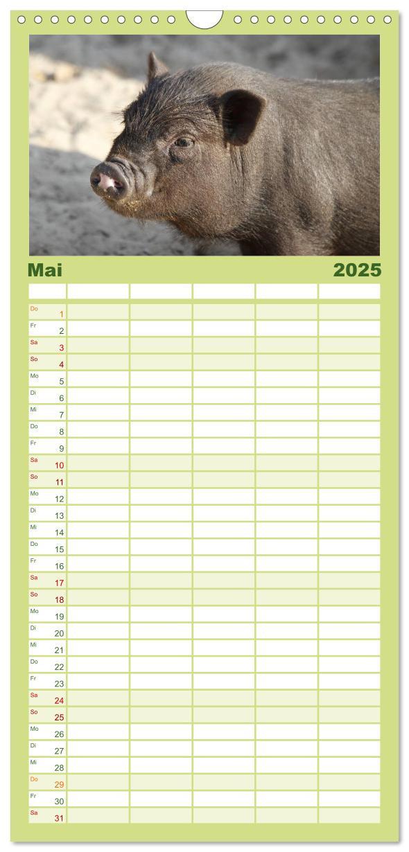 Bild: 9783457124741 | Familienplaner 2025 - Schwein gehabt! mit 5 Spalten (Wandkalender,...