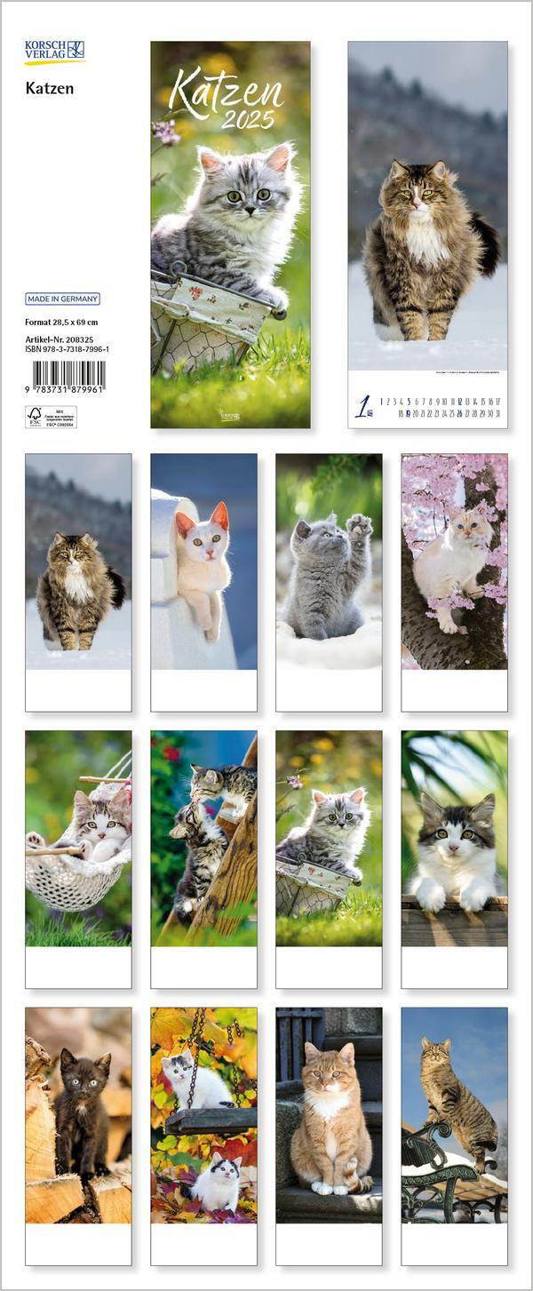 Bild: 9783731879961 | Katzen 2025 | Verlag Korsch | Kalender | Spiralbindung | 14 S. | 2025