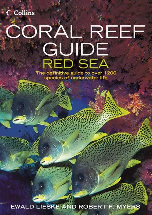 Cover: 9780007159864 | Coral Reef Guide Red Sea | Ewald Lieske (u. a.) | Taschenbuch | 2004