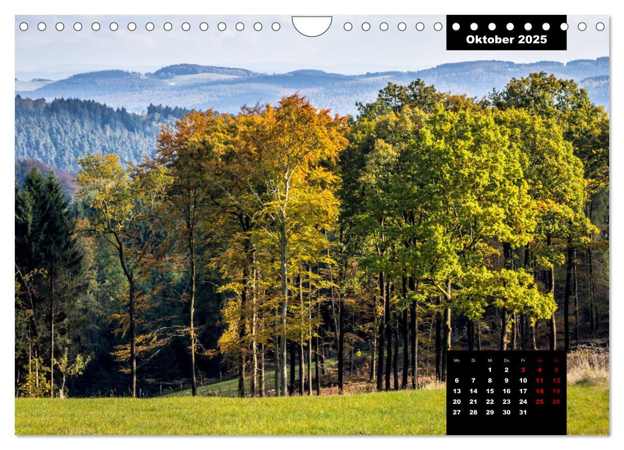 Bild: 9783435287499 | Malerisches Sauerland (Wandkalender 2025 DIN A4 quer), CALVENDO...