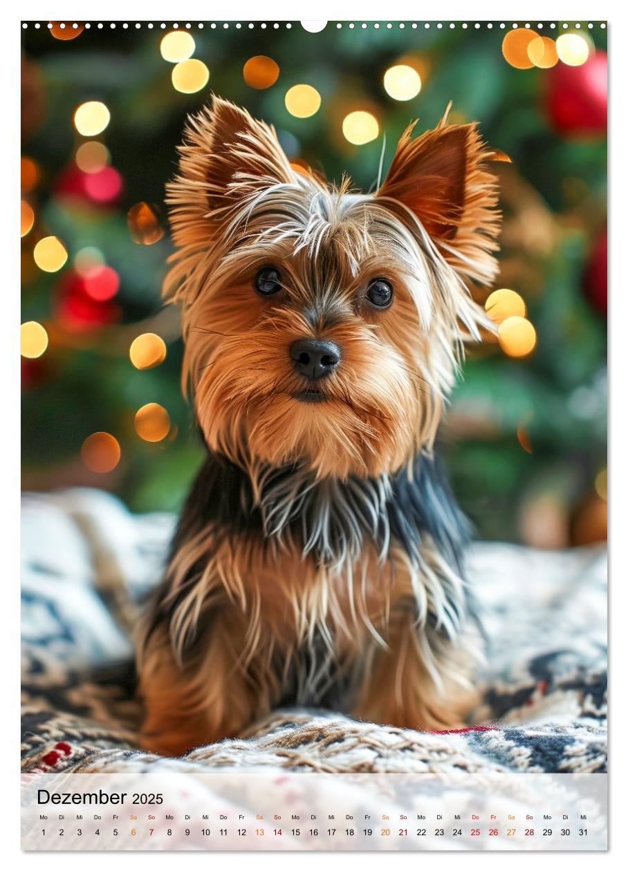 Bild: 9783383771767 | Yorkshire Terrier - ein Hund mit starkem Charakter (hochwertiger...