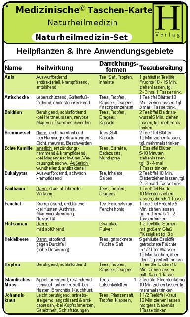 Cover: 9783939081272 | Naturheilmedizin Set. Medizinische Taschen-Karte | Stück | Deutsch