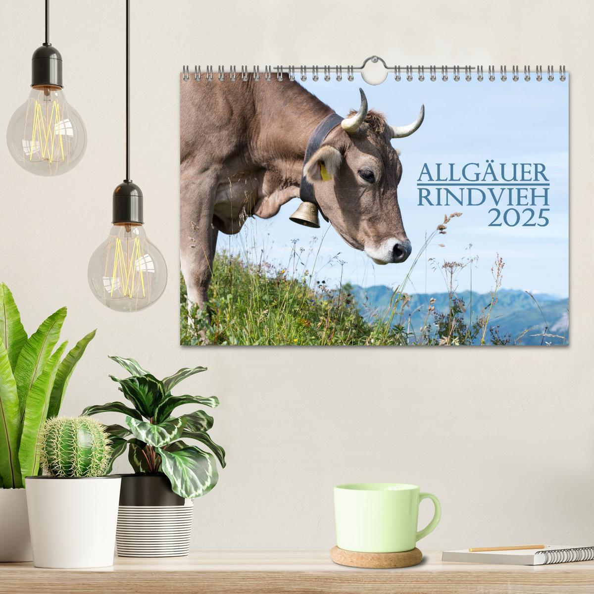 Bild: 9783383832260 | Allgäuer Rindvieh 2025 (Wandkalender 2025 DIN A4 quer), CALVENDO...