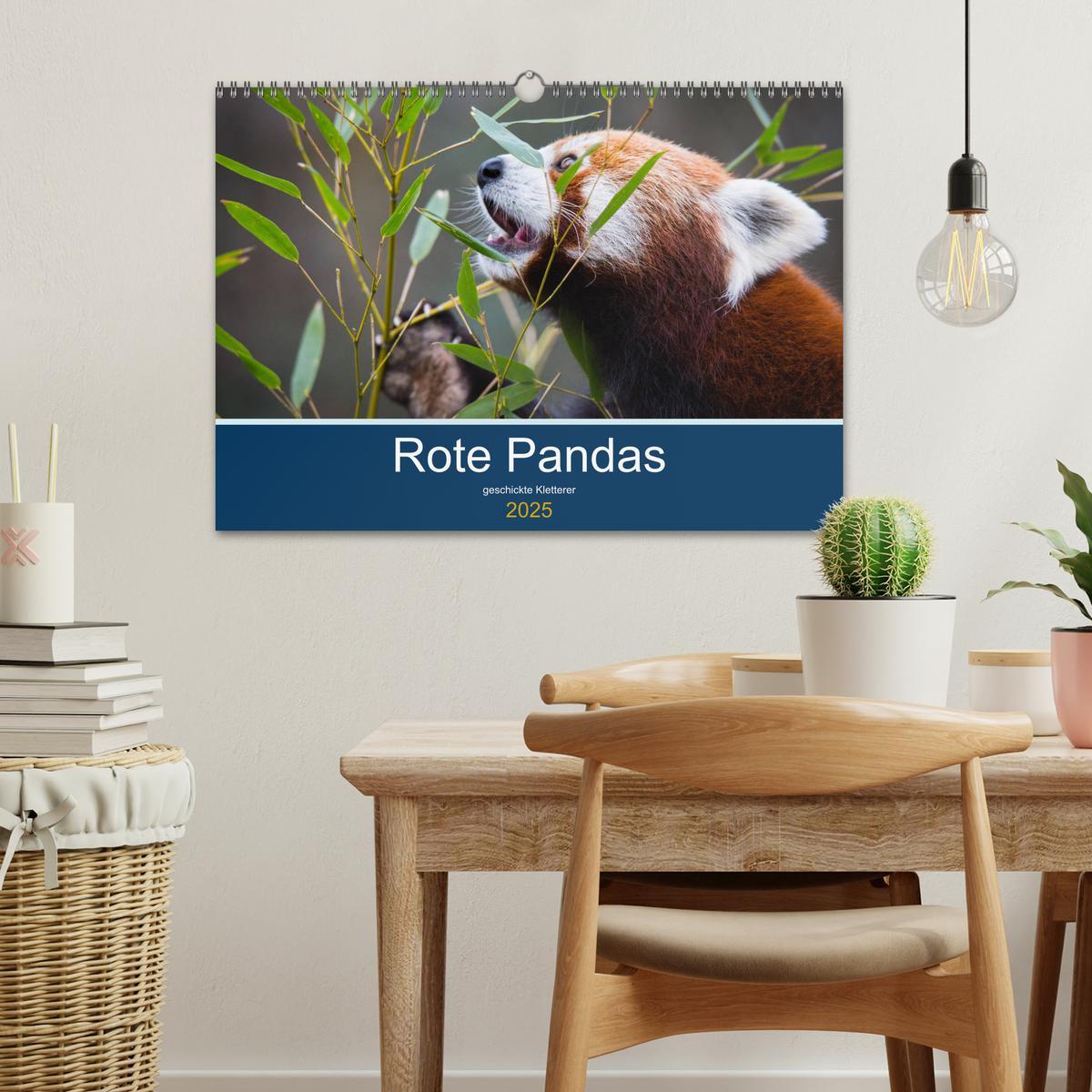 Bild: 9783435330140 | Rote Pandas - geschickte Kletterer (Wandkalender 2025 DIN A3 quer),...