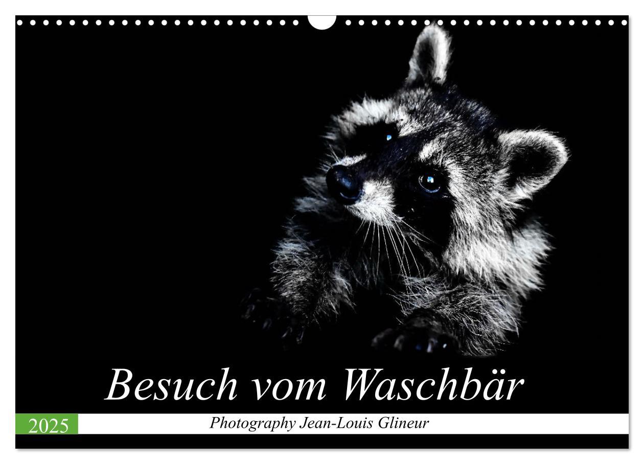 Cover: 9783435229178 | Besuch vom Waschbär (Wandkalender 2025 DIN A3 quer), CALVENDO...