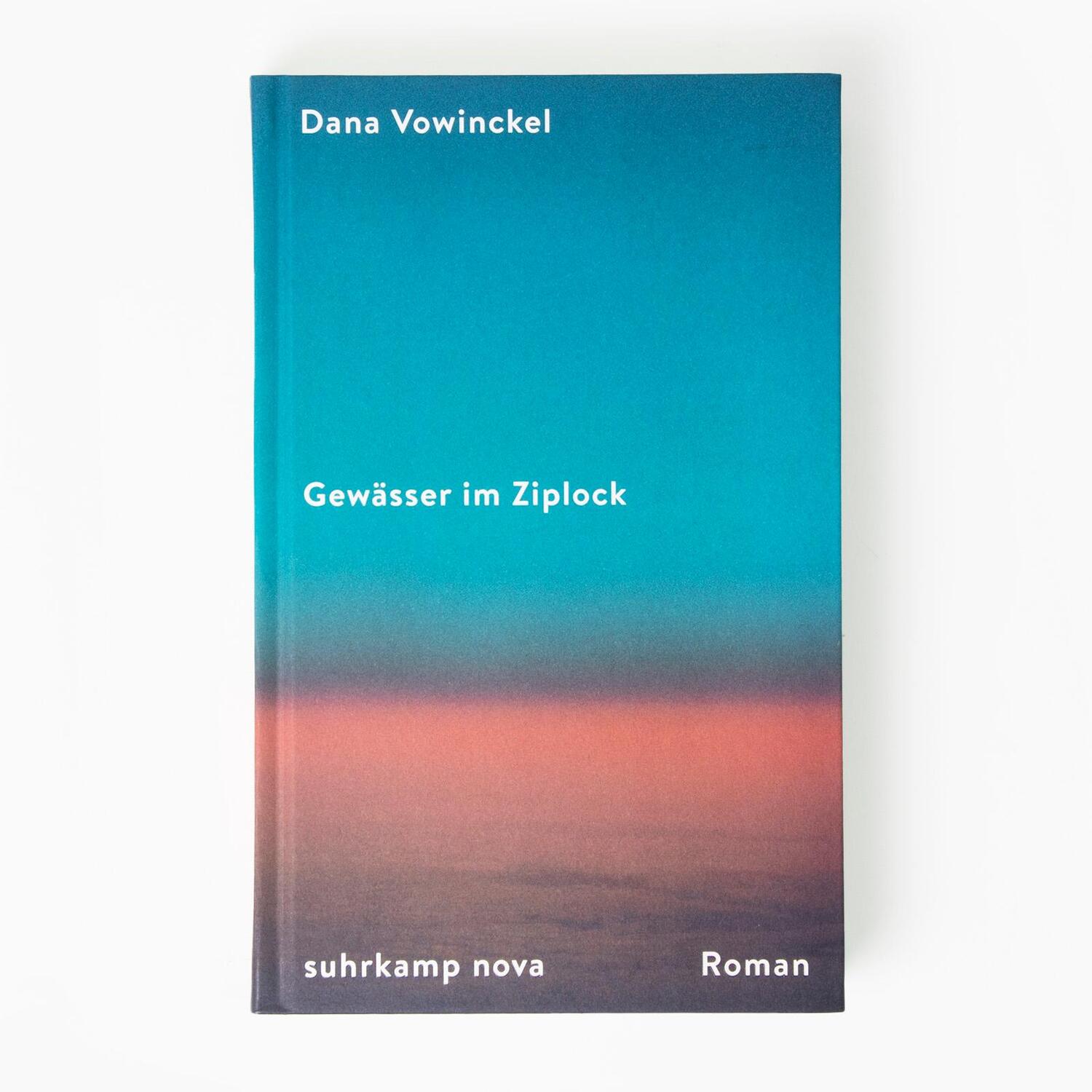 Bild: 9783518473603 | Gewässer im Ziplock | Dana Vowinckel | Buch | 362 S. | Deutsch | 2023