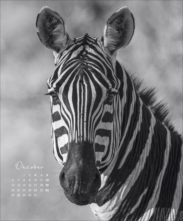 Bild: 9783731880011 | WildLife 2025 | Korsch Verlag | Kalender | 14 S. | Deutsch | 2025