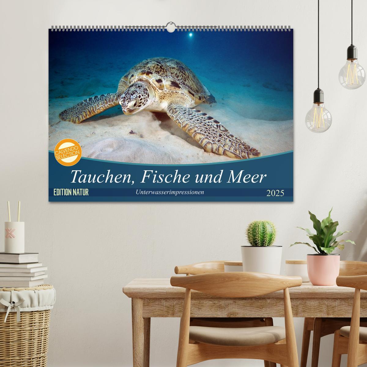 Bild: 9783435409525 | Tauchen, Fische und Meer (Wandkalender 2025 DIN A2 quer), CALVENDO...