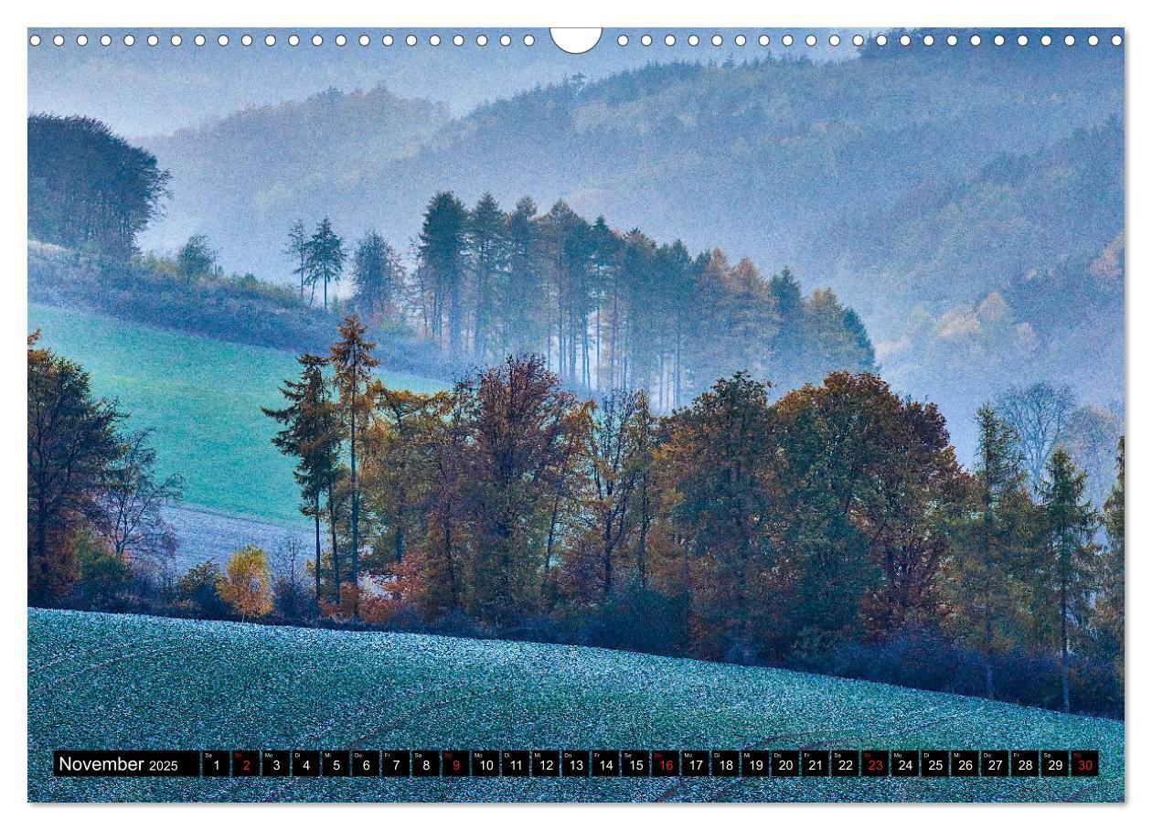 Bild: 9783435241507 | Arnsberger Wald (Wandkalender 2025 DIN A3 quer), CALVENDO...