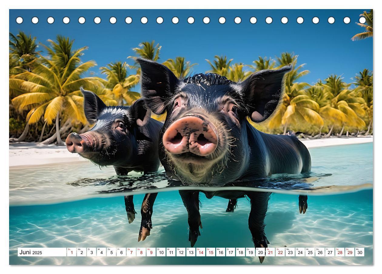 Bild: 9783383835292 | Schwimmende Schweine im Paradies (Tischkalender 2025 DIN A5 quer),...