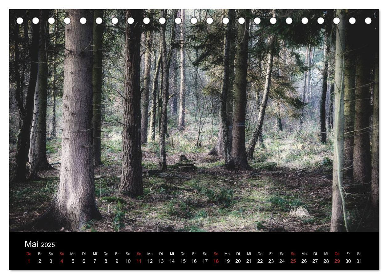 Bild: 9783435500307 | Mystische Wälder (Tischkalender 2025 DIN A5 quer), CALVENDO...