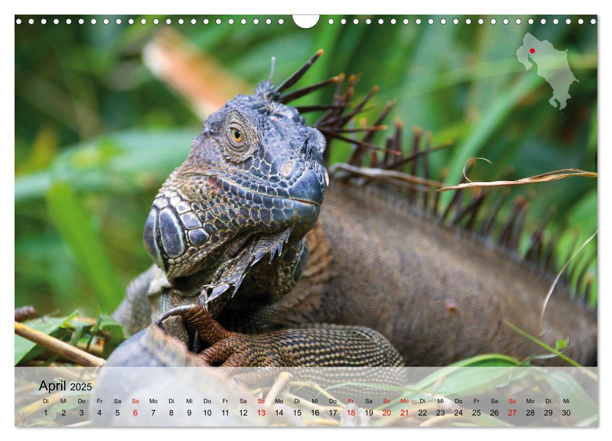 Bild: 9783435016969 | Costa Rica - Panama - Nicaragua (Wandkalender 2025 DIN A3 quer),...