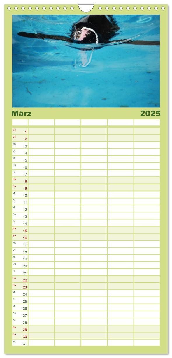 Bild: 9783457120293 | Familienplaner 2025 - Pinguine 2025 mit 5 Spalten (Wandkalender, 21...