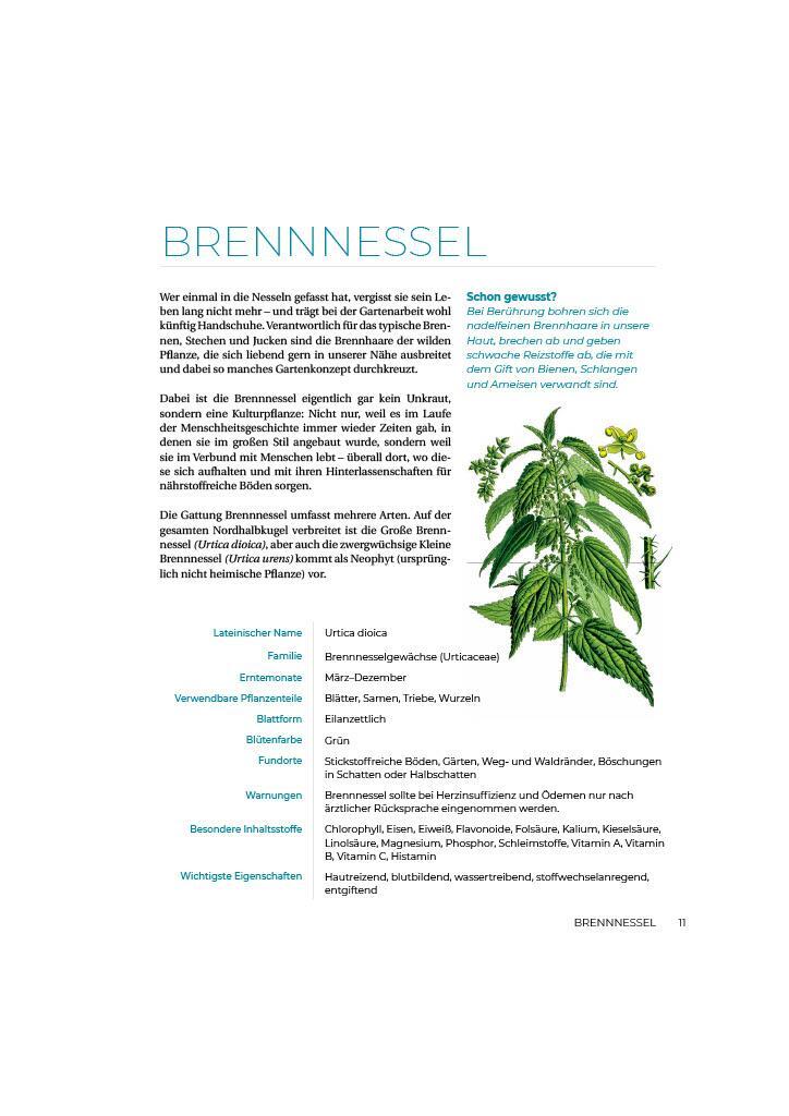 Bild: 9783910801103 | Geliebtes Unkraut | smarticular Verlag | Taschenbuch | Kostbare Natur