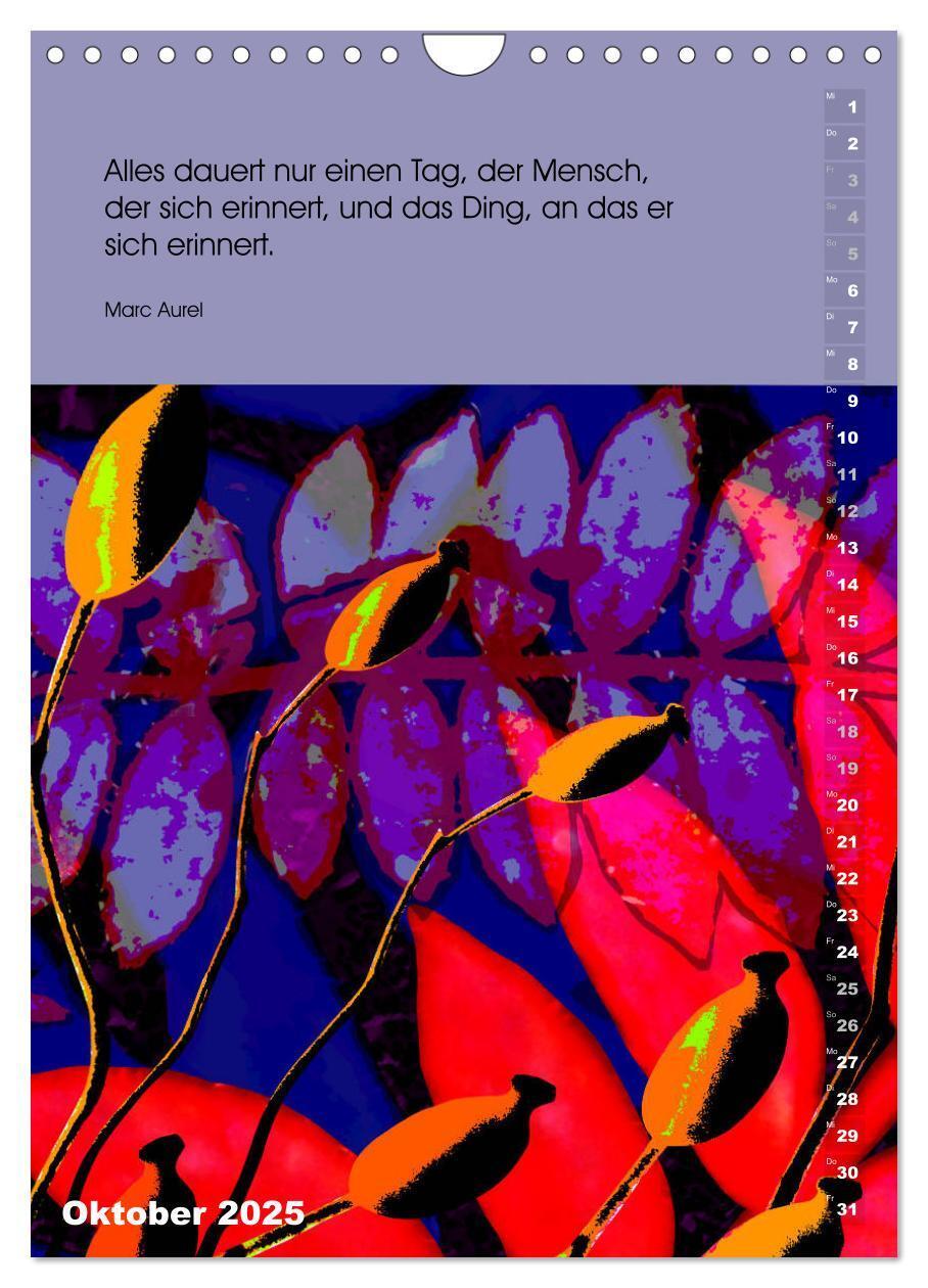 Bild: 9783435966233 | Philosophische Inspirationen Wandkalender 2025 (Wandkalender 2025...