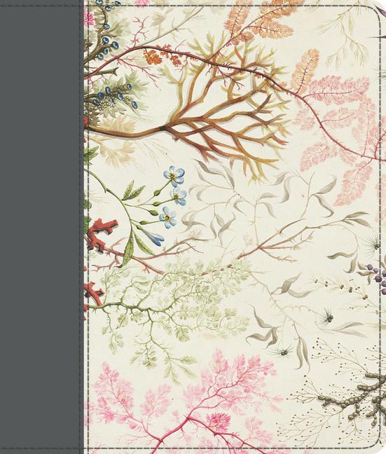 Cover: 9781433565410 | ESV Journaling Bible (Printed Trutone, Elegant Grace) | Buch | Leder