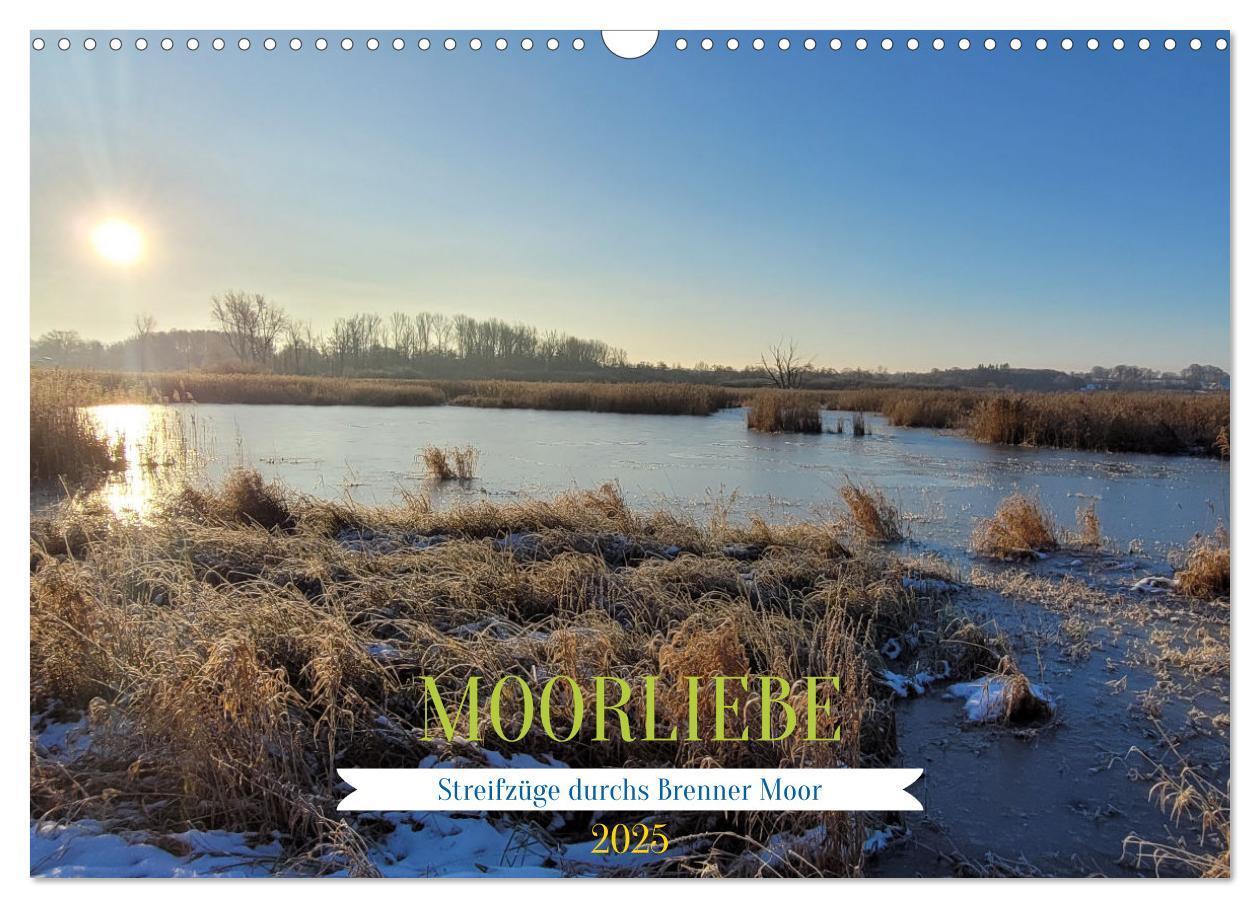 Cover: 9783457199244 | Moorträume - Naturschönheit in Bildern (Wandkalender 2025 DIN A3...