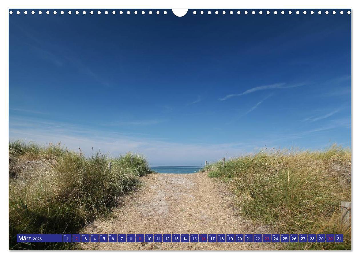 Bild: 9783435781973 | Weststrand Darß (Wandkalender 2025 DIN A3 quer), CALVENDO...