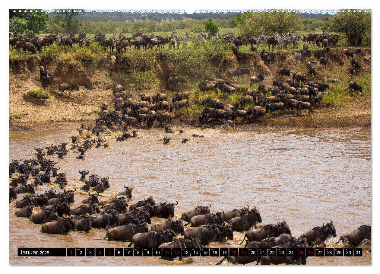 Bild: 9783435341719 | Tansania - Tierwanderung in der Serengeti (Wandkalender 2025 DIN A2...