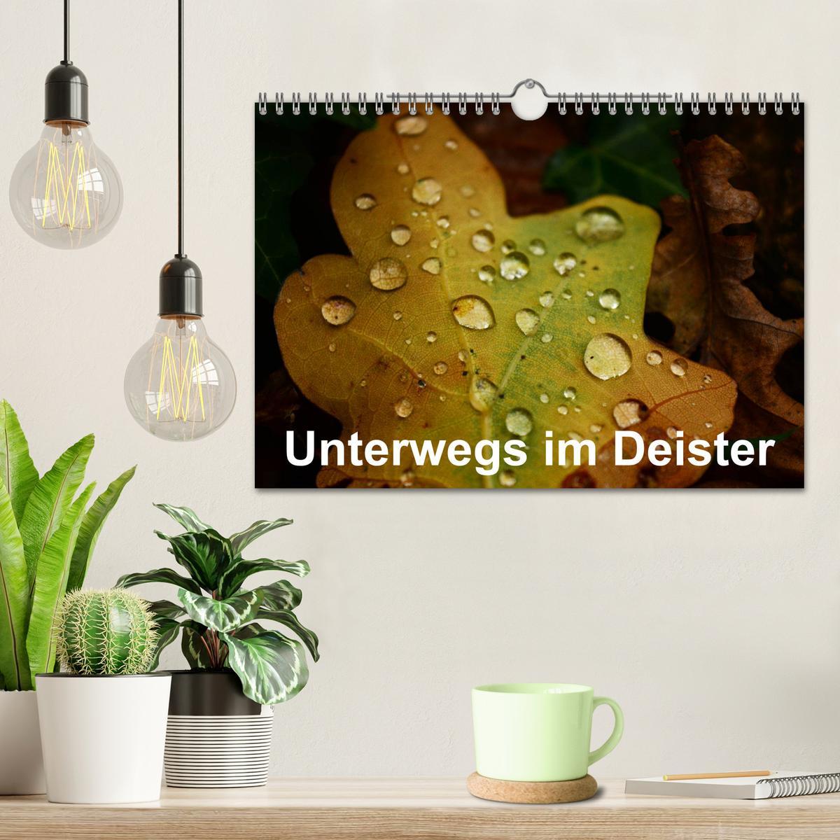 Bild: 9783435240852 | Unterwegs im Deister (Wandkalender 2025 DIN A4 quer), CALVENDO...