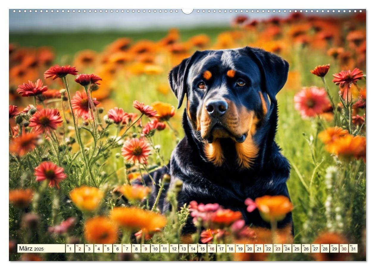 Bild: 9783457128886 | Rottweiler - die Beschützer (Wandkalender 2025 DIN A2 quer),...