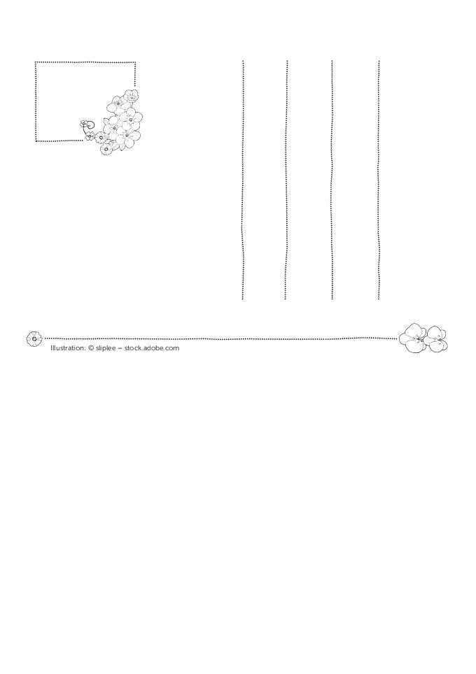 Bild: 9783987640940 | Ausmal-Postkarten Blütenzauber 20 Karten | Pen2nature | Taschenbuch