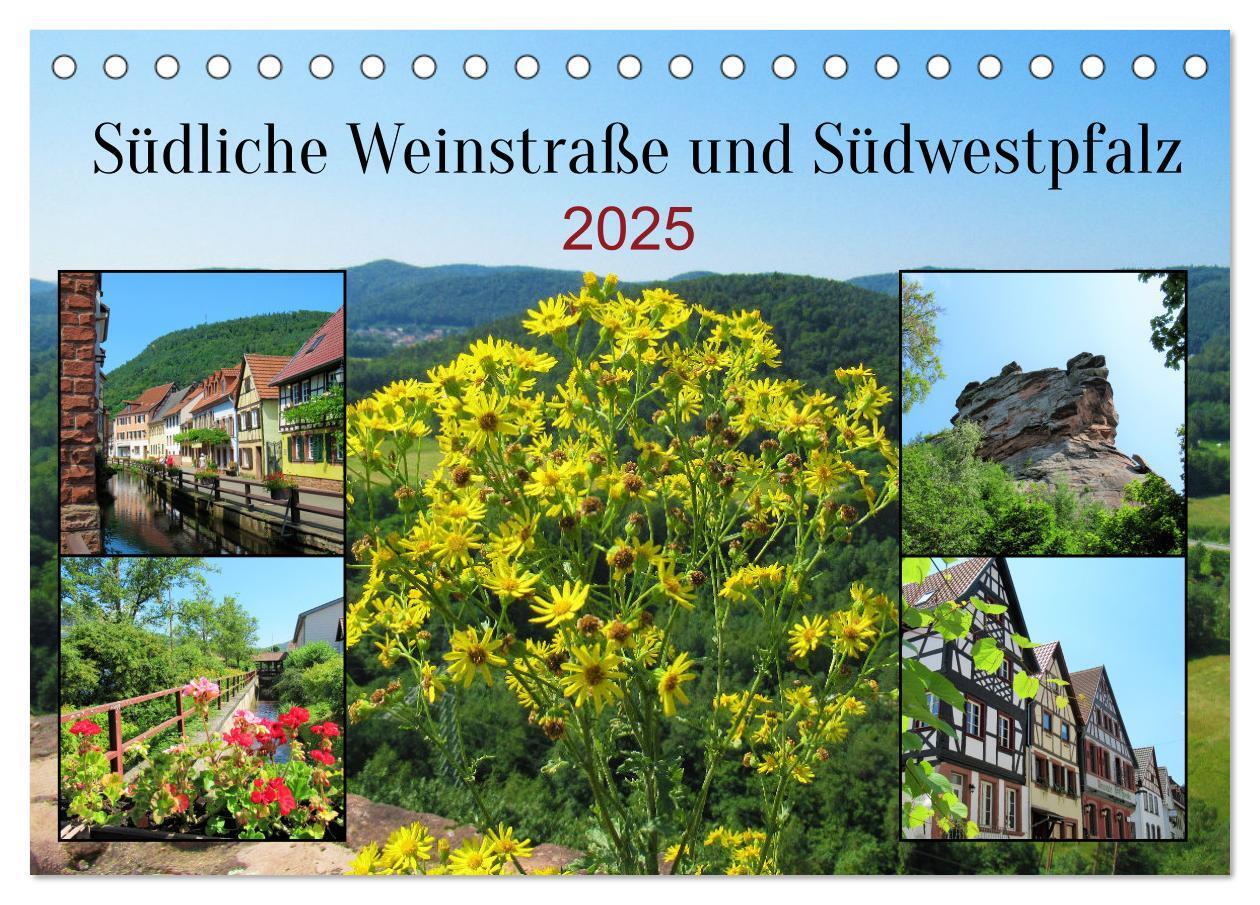 Cover: 9783435038541 | Südliche Weinstraße und Südwestpfalz (Tischkalender 2025 DIN A5...