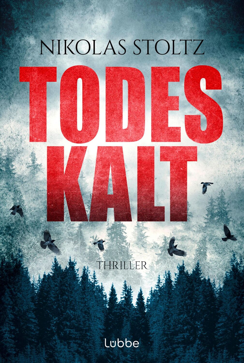 Cover: 9783404193578 | Todeskalt | Thriller | Nikolas Stoltz | Taschenbuch | 384 S. | Deutsch