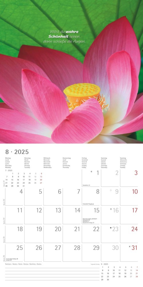 Bild: 4251732340858 | Alpha Edition - Zen 2025 Broschürenkalender, 30x30cm, Wandkalender...