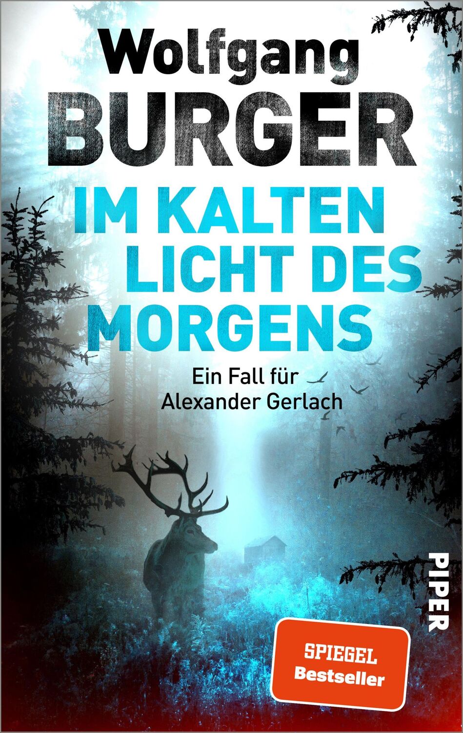 Cover: 9783492064408 | Im kalten Licht des Morgens | Wolfgang Burger | Taschenbuch | 368 S.