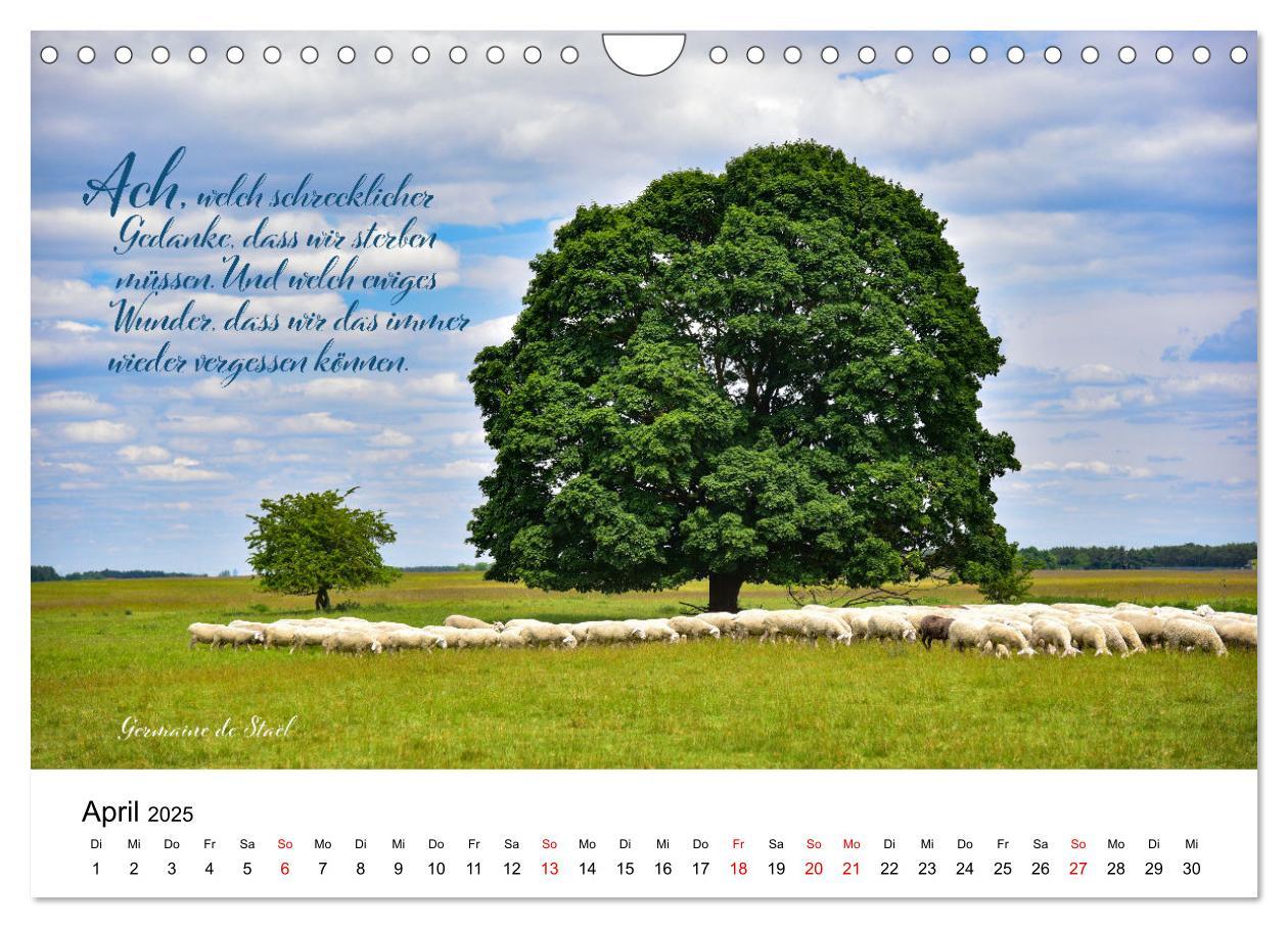 Bild: 9783383971495 | Zitate fürs Leben (Wandkalender 2025 DIN A4 quer), CALVENDO...