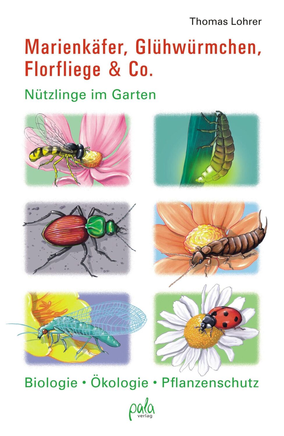 Cover: 9783895662775 | Marienkäfer, Glühwürmchen, Florfliege &amp; Co. | Thomas Lohrer | Buch