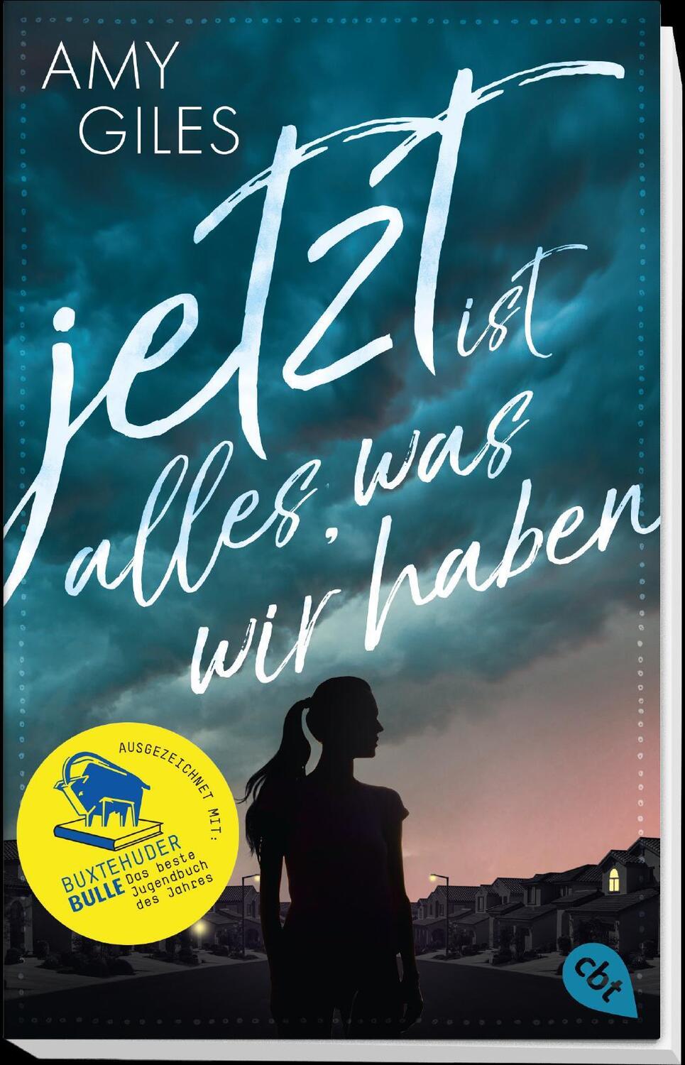 Bild: 9783570313657 | Jetzt ist alles, was wir haben | Amy Giles | Taschenbuch | 400 S.