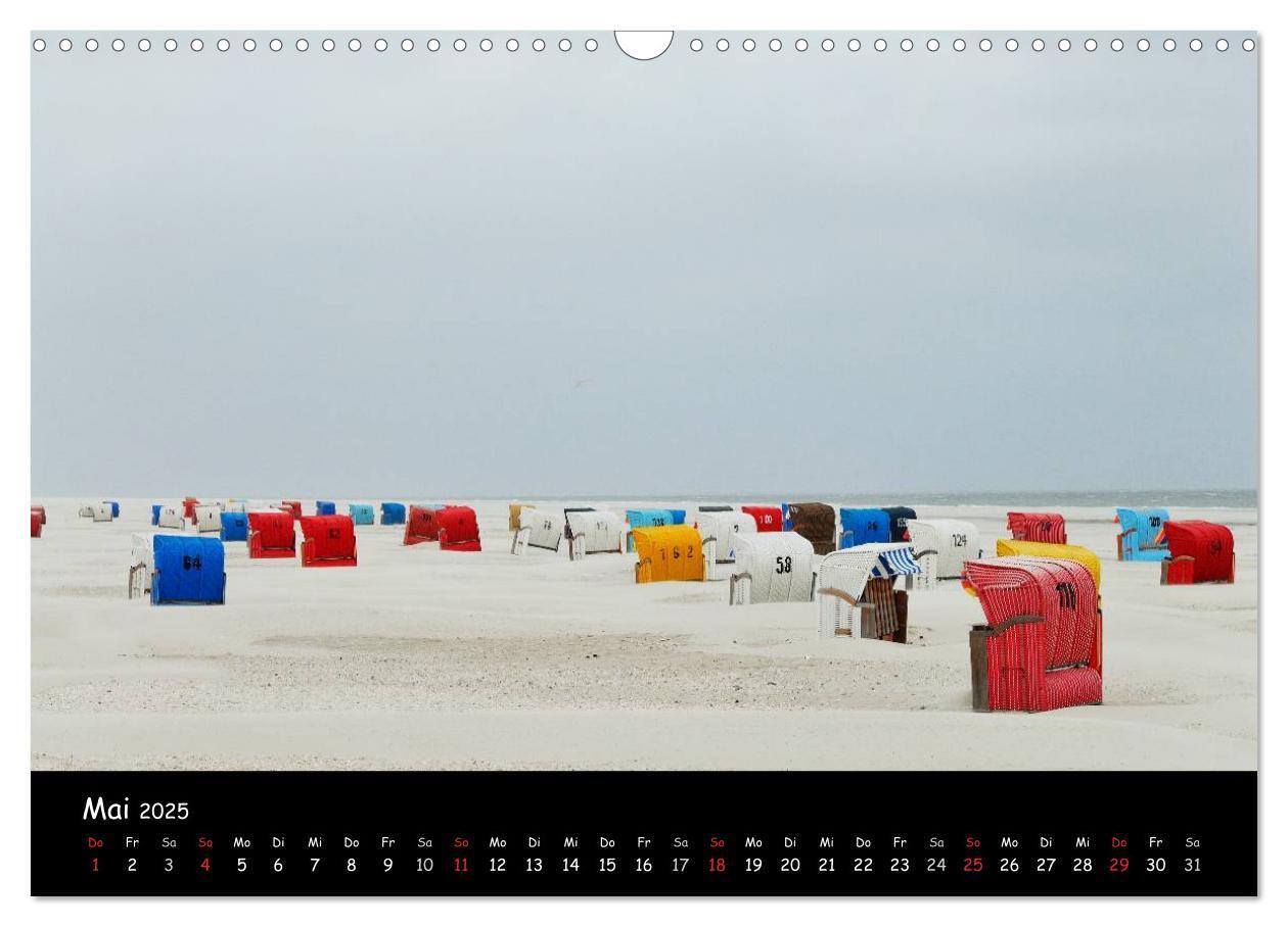 Bild: 9783435827275 | Amrum (Wandkalender 2025 DIN A3 quer), CALVENDO Monatskalender | 2025