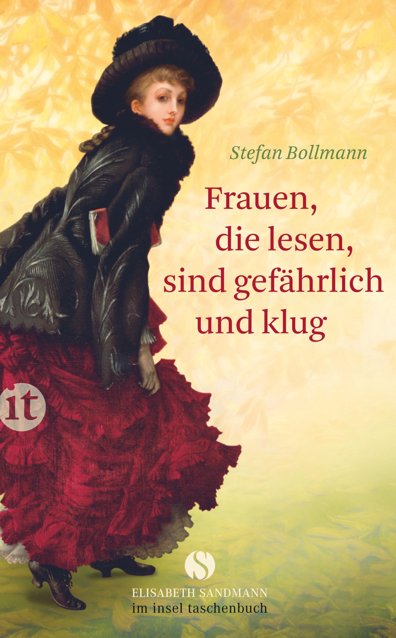 Cover: 9783458360285 | Frauen, die lesen, sind gefährlich und klug | Stefan Bollmann | Buch