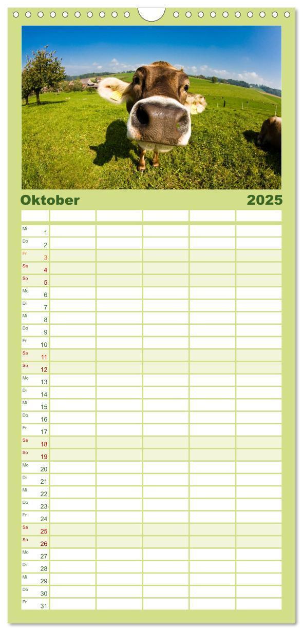 Bild: 9783457126547 | Familienplaner 2025 - Kühe mit 5 Spalten (Wandkalender, 21 x 45 cm)...