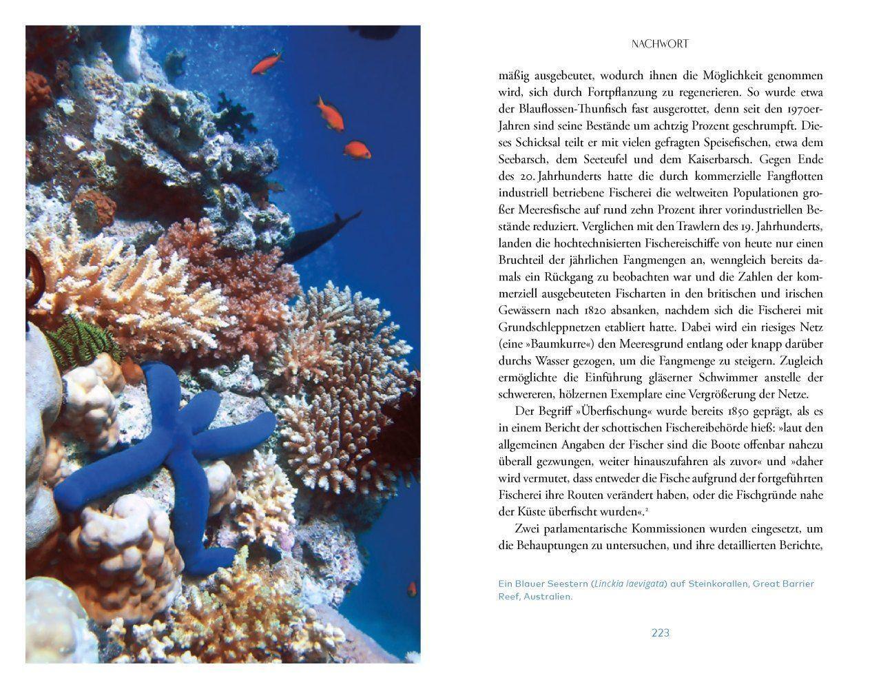 Bild: 9783957286819 | Das Meer | Richard Hamblyn | Buch | Deutsch | 2022 | Knesebeck