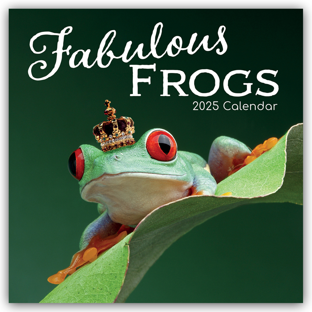 Cover: 9781835360408 | Fabulous Frogs - Fabelhafte Frösche 2025 - 16-Monatskalender | Ltd