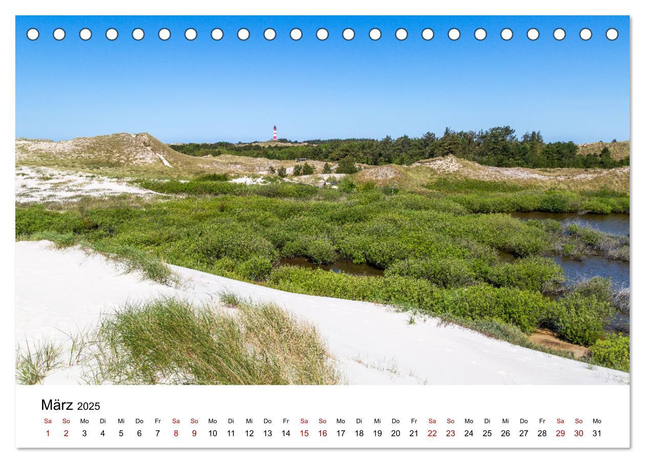 Bild: 9783383896651 | Amrum - Das Paradies in der Nordsee (Tischkalender 2025 DIN A5...