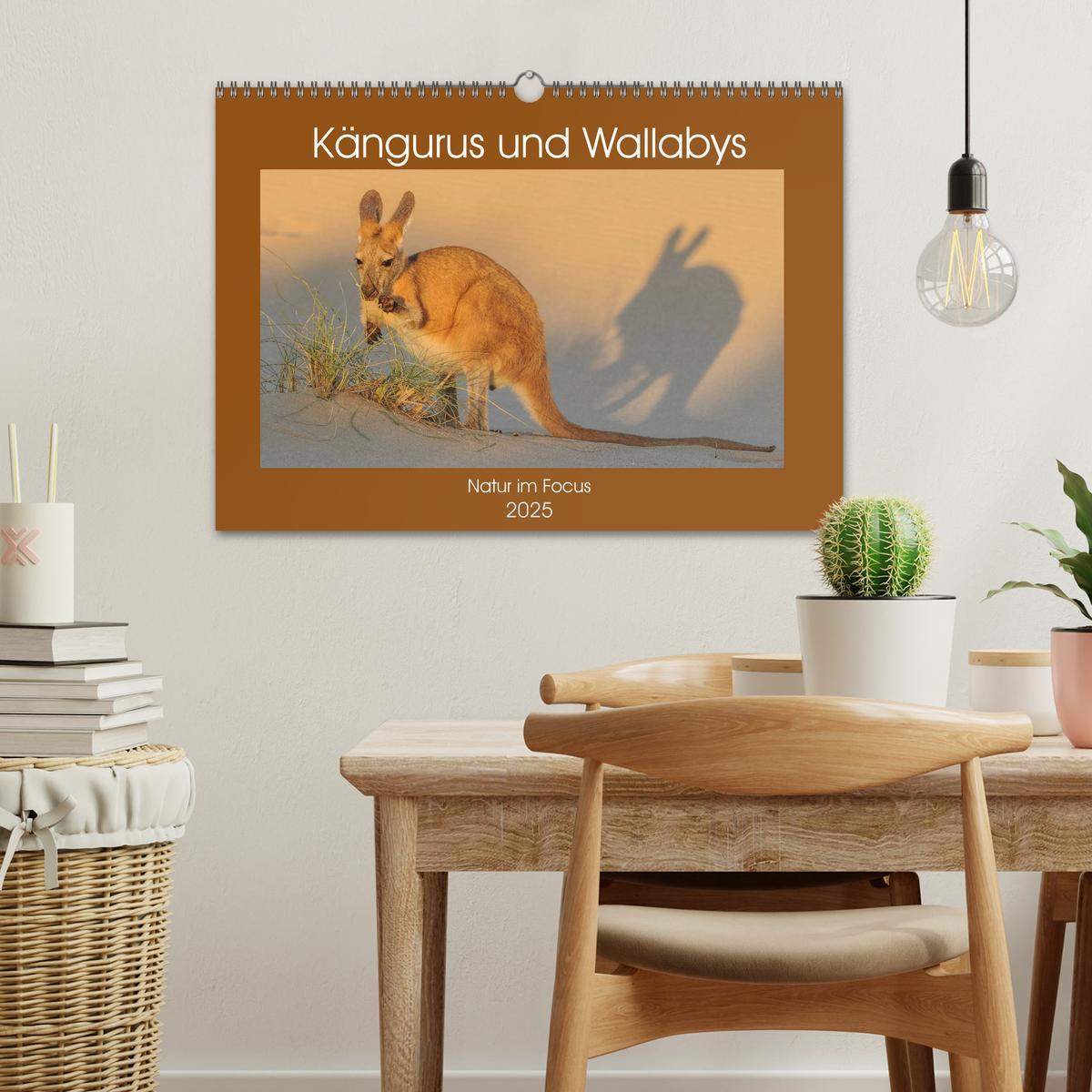 Bild: 9783435362561 | Kängururs und Wallabys (Wandkalender 2025 DIN A3 quer), CALVENDO...