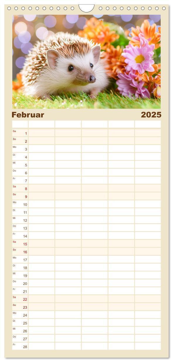 Bild: 9783457193037 | Familienplaner 2025 - Mein Igel-Kalender mit 5 Spalten...