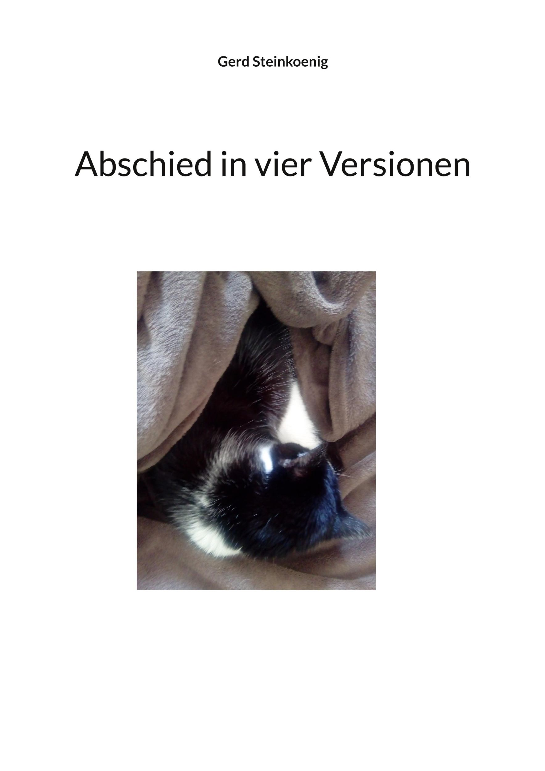 Cover: 9783769316995 | Abschied in vier Versionen | Gerd Steinkoenig | Taschenbuch | 28 S.