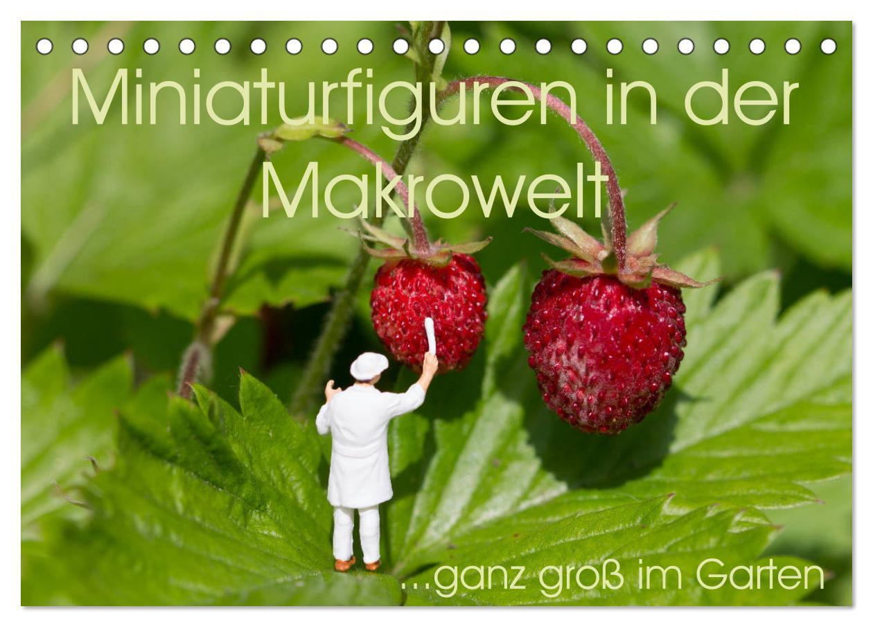 Cover: 9783435355624 | Miniaturfiguren in der Makrowelt ...ganz groß im Garten...