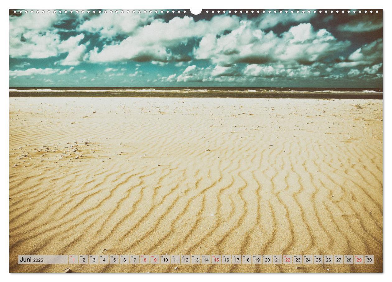 Bild: 9783435798551 | AMRUM Art (Wandkalender 2025 DIN A2 quer), CALVENDO Monatskalender