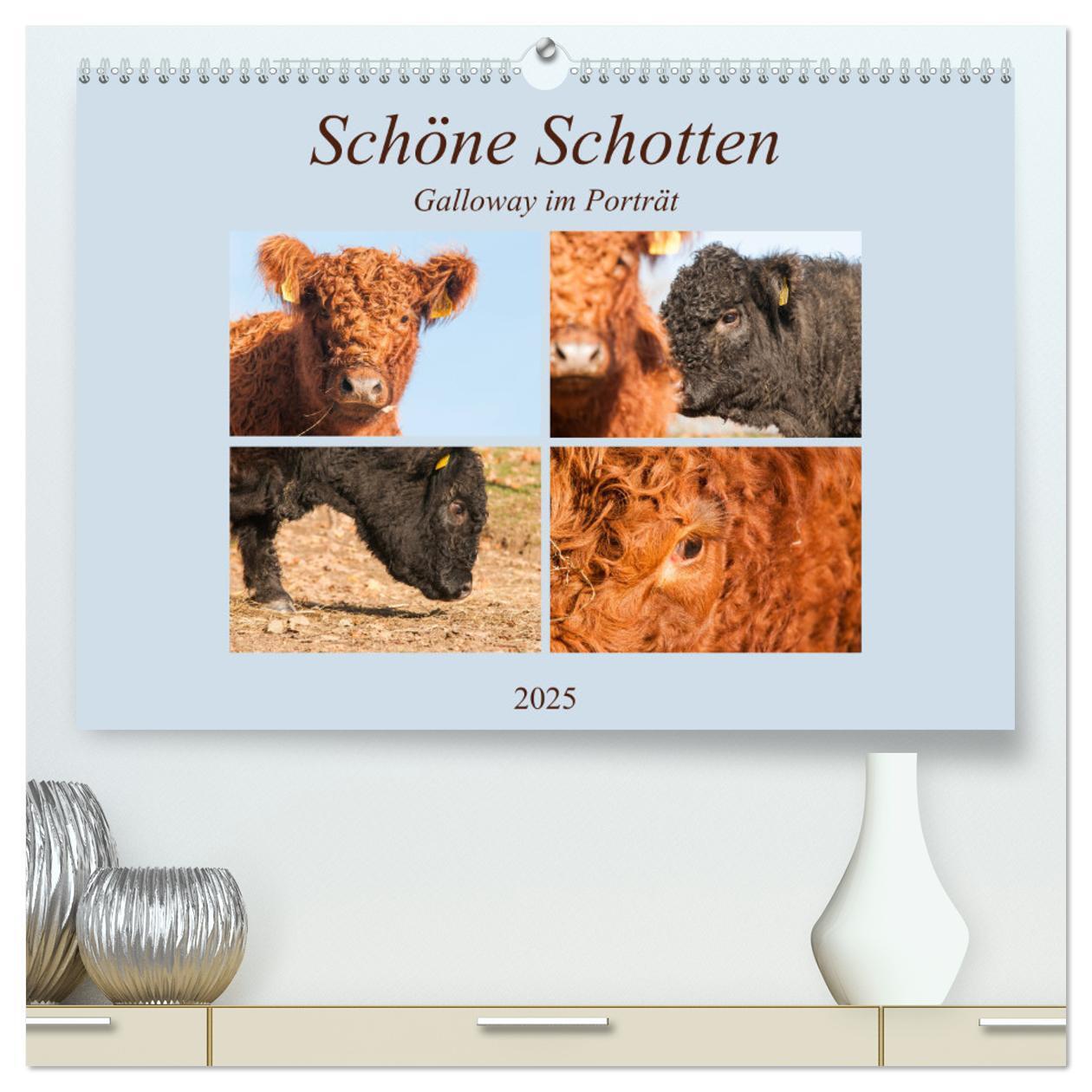 Cover: 9783435178179 | Schöne Schotten - Galloway im Porträt (hochwertiger Premium...