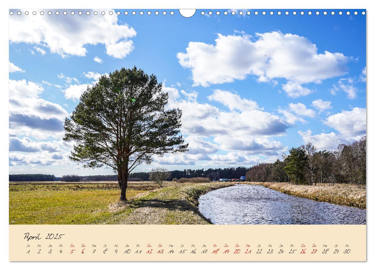 Bild: 9783383982484 | Friedländer Große Wiese (Wandkalender 2025 DIN A3 quer), CALVENDO...