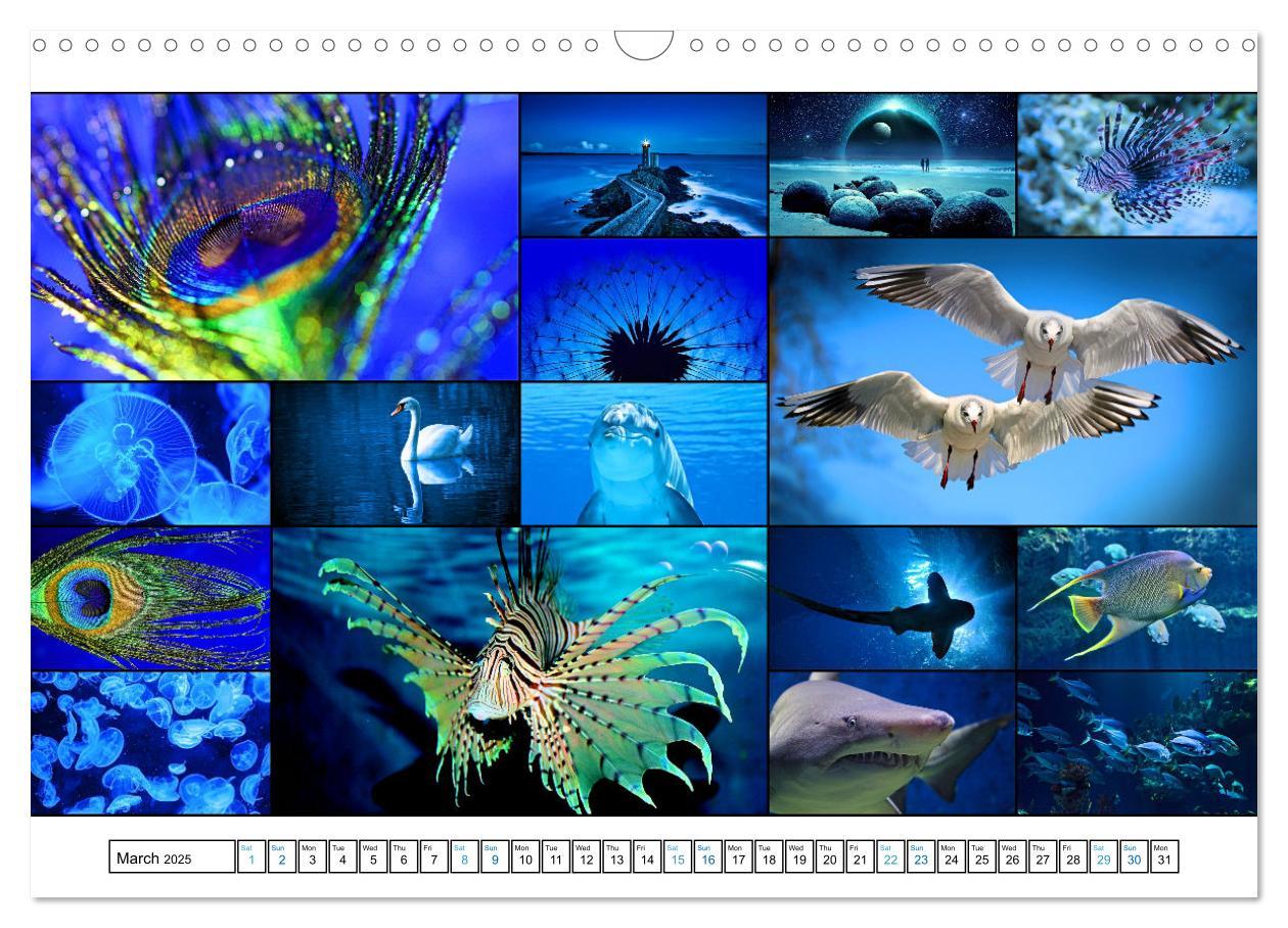 Bild: 9781325835355 | Colour Symphonies of the Earth (Wall Calendar 2025 DIN A3...