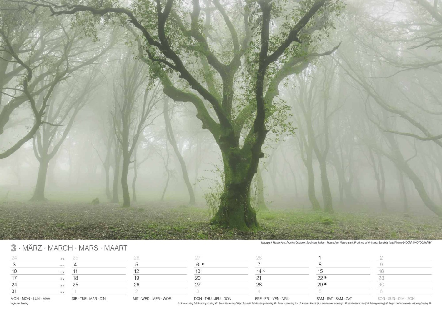 Bild: 4002725994271 | N NEUMANNVERLAGE - Malerische Wälder 2025 Wandkalender, 45x48cm,...