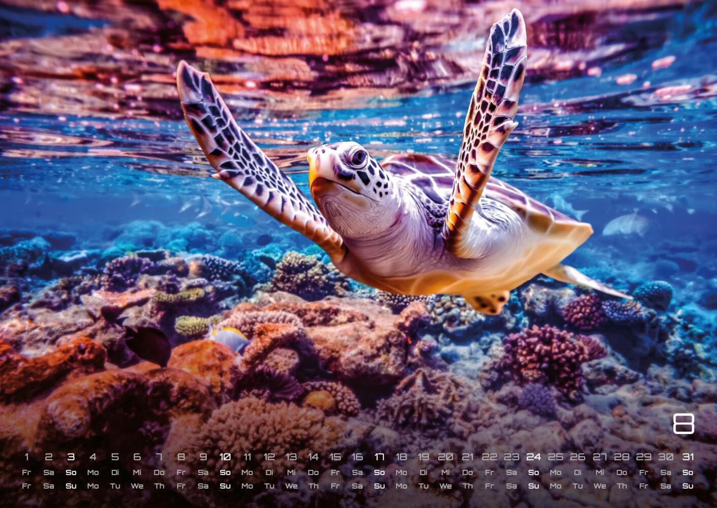 Bild: 9783986734299 | Sealife - verborgene Tiefen - 2025 - Kalender DIN A2 | GP-Fever.de