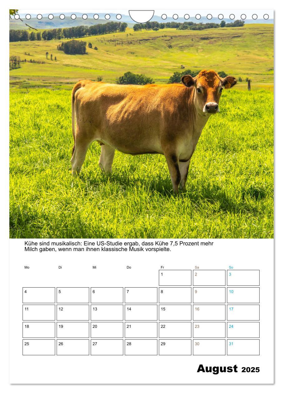 Bild: 9783435943203 | Liebenswerte Landtiere (Wandkalender 2025 DIN A4 hoch), CALVENDO...